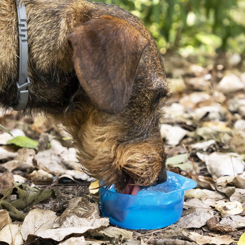 Botella con Depósito de Agua y Comida para Mascotas 2 en 1 Pettap - Pequiti