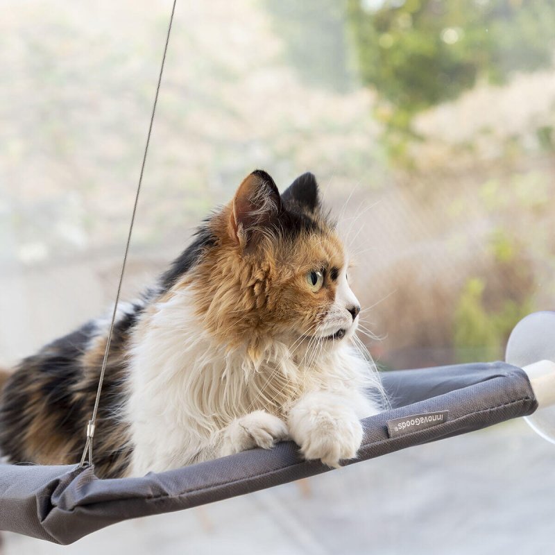 Hamaca Colgante para Gatos Catlax - Pequiti